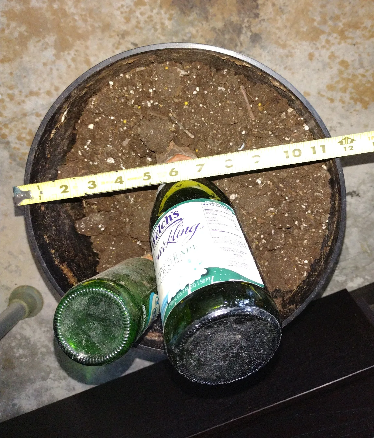 12" Black Planter with 12" Plant Caddy and Terracotta Spikes 🥕 image indicator(3)