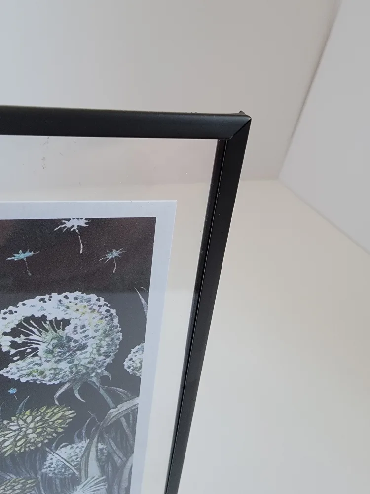 Double Picture Frame with Dragon Art Prints image indicator(4)