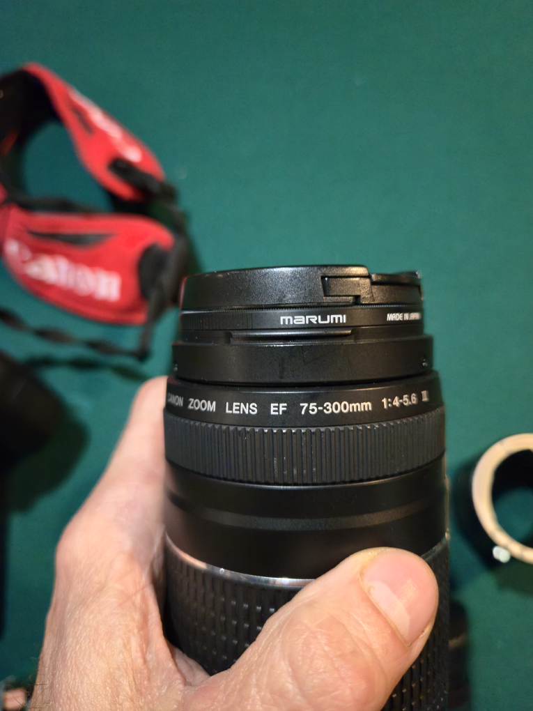 Canon EOS Rebel T6 Camera with EF 75-300mm Lens - photo 3