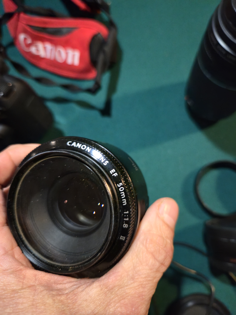 Canon EOS Rebel T6 Camera with EF 75-300mm Lens - photo 4