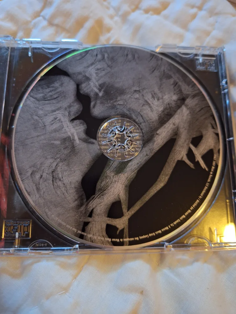 Seether - disclaimer II CD image indicator(2)