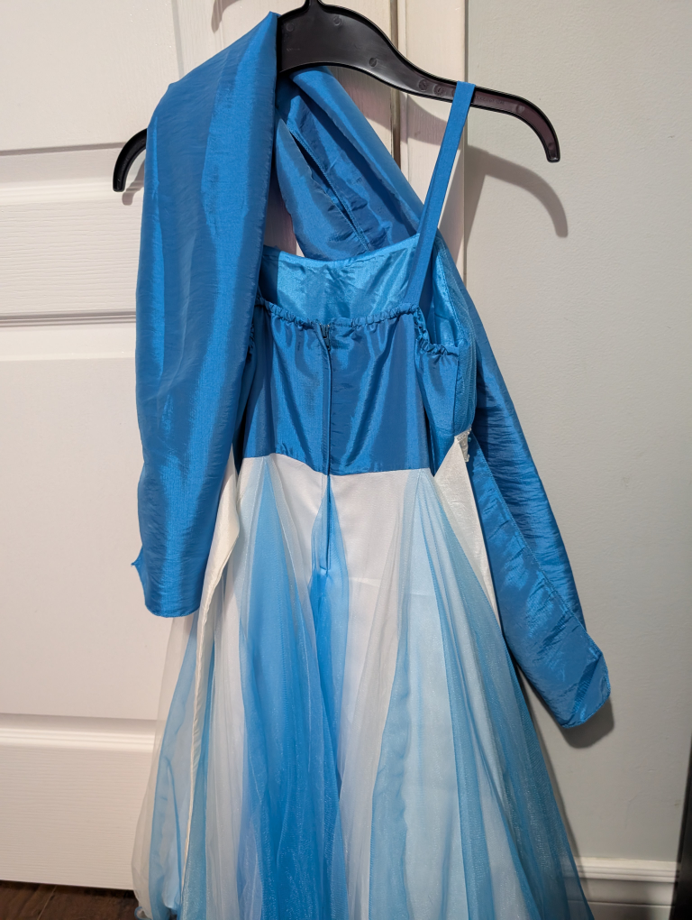 Blue & White Dress