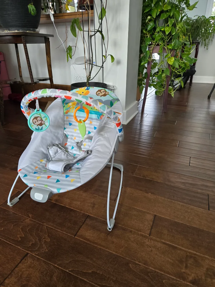 Bright Starts Bouncer - excellent condition image indicator(3)