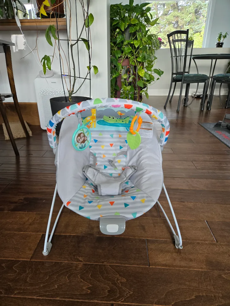 Bright Starts Bouncer - excellent condition image indicator(4)