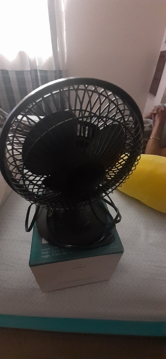 🥕Living 6" Desk Fan with Clip - Black