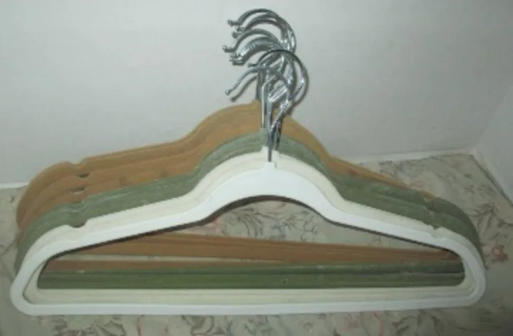 10 Velvet Clothes Hangers (multicolored) 🥕 thumbnail