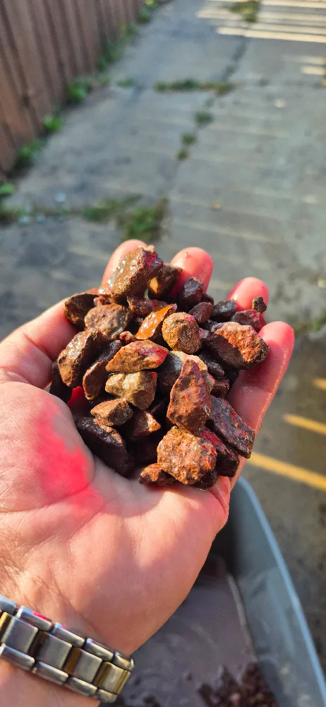 Athabasca Purple Creek Rocks – Hand Picked & Washed image indicator(3)