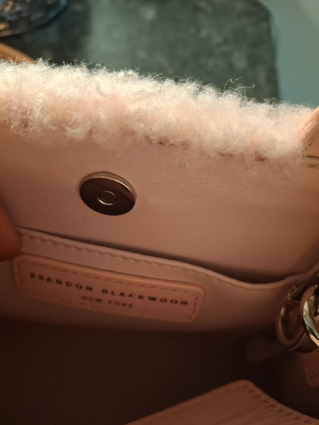 Brandon Blackwood New York Mini Teddy Kuei Bag image indicator(2)