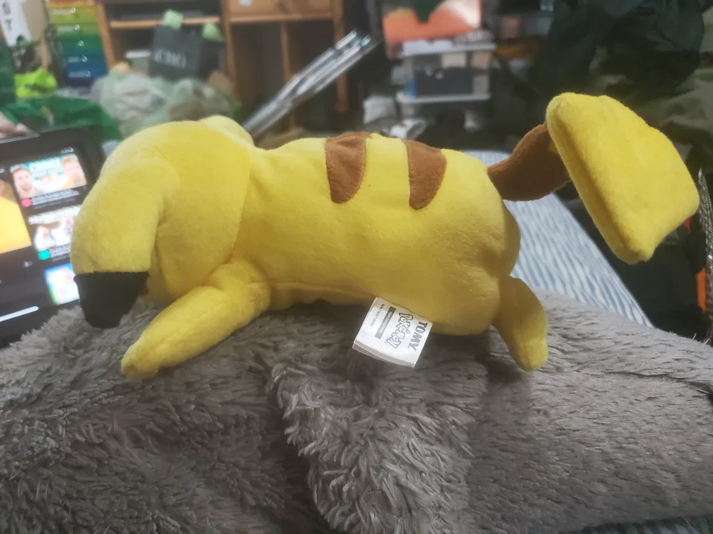 sleeping pikachu plush image indicator(2)