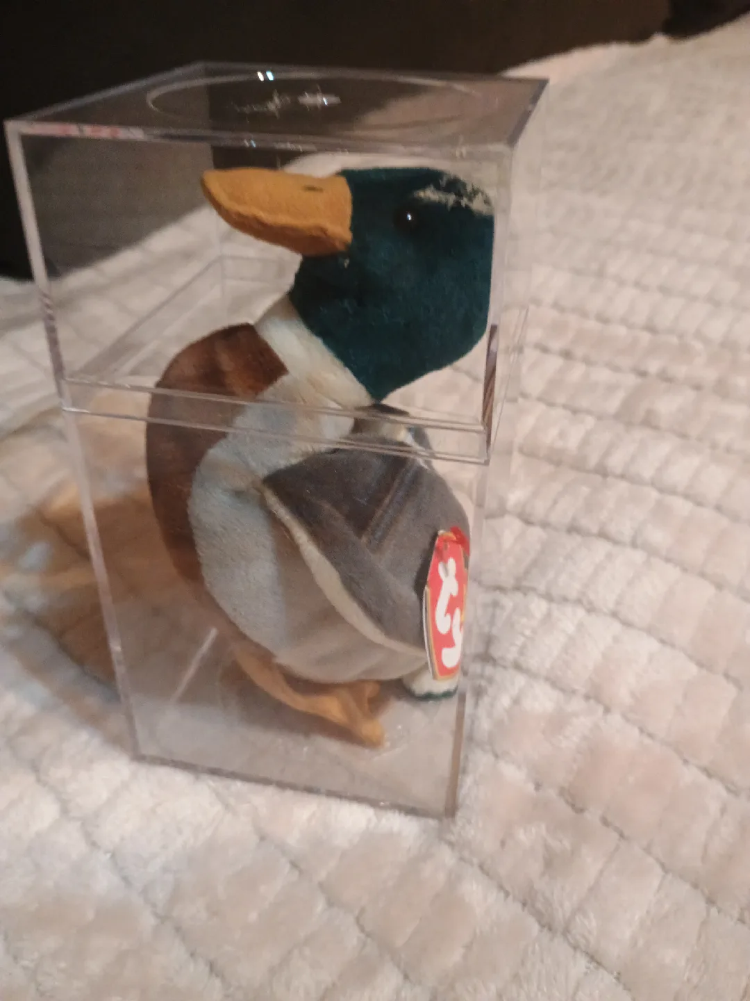 Ty Beanie Baby Mallard Duck in Case thumbnail