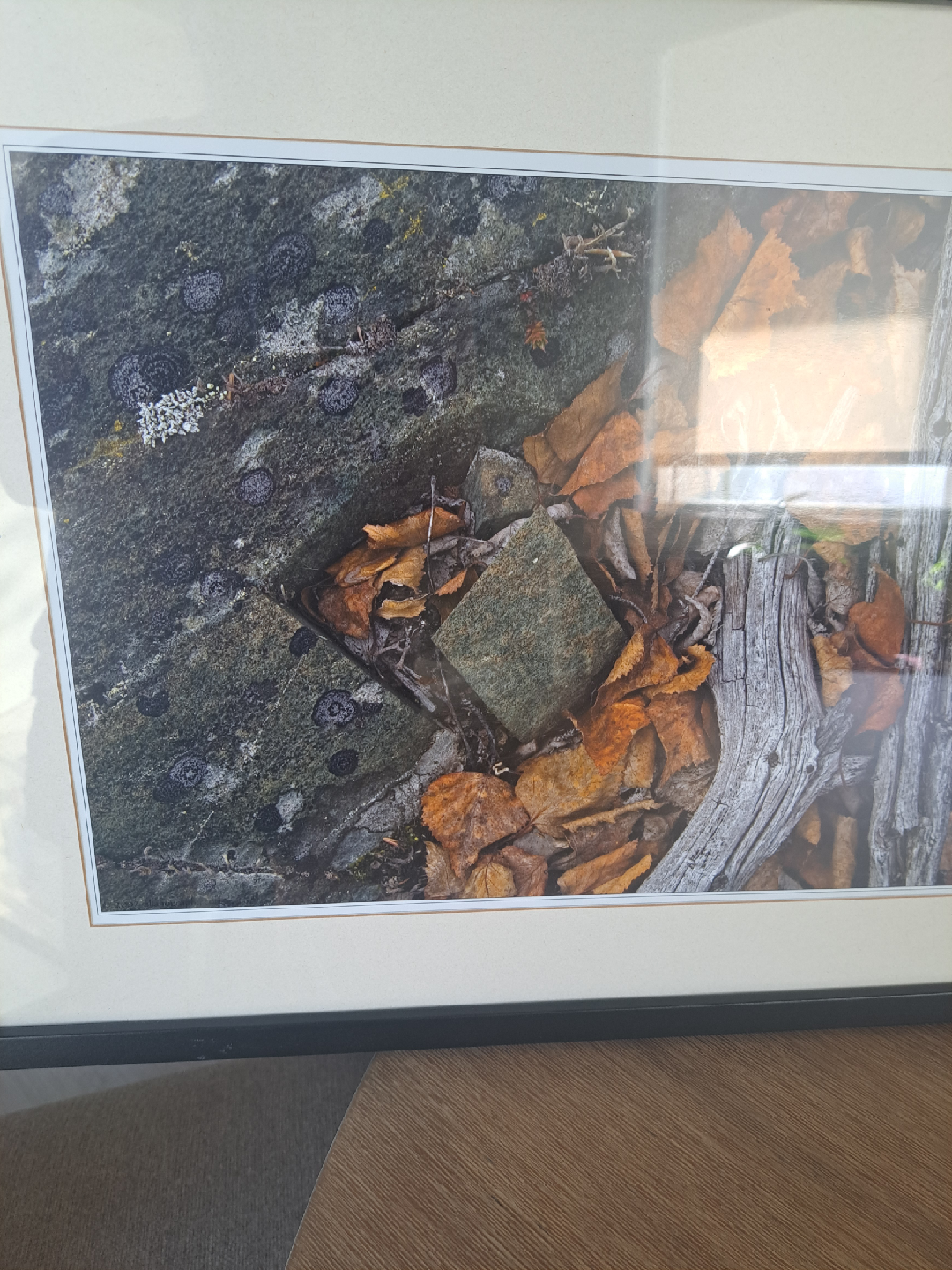 Fall photo in frame - photo 2