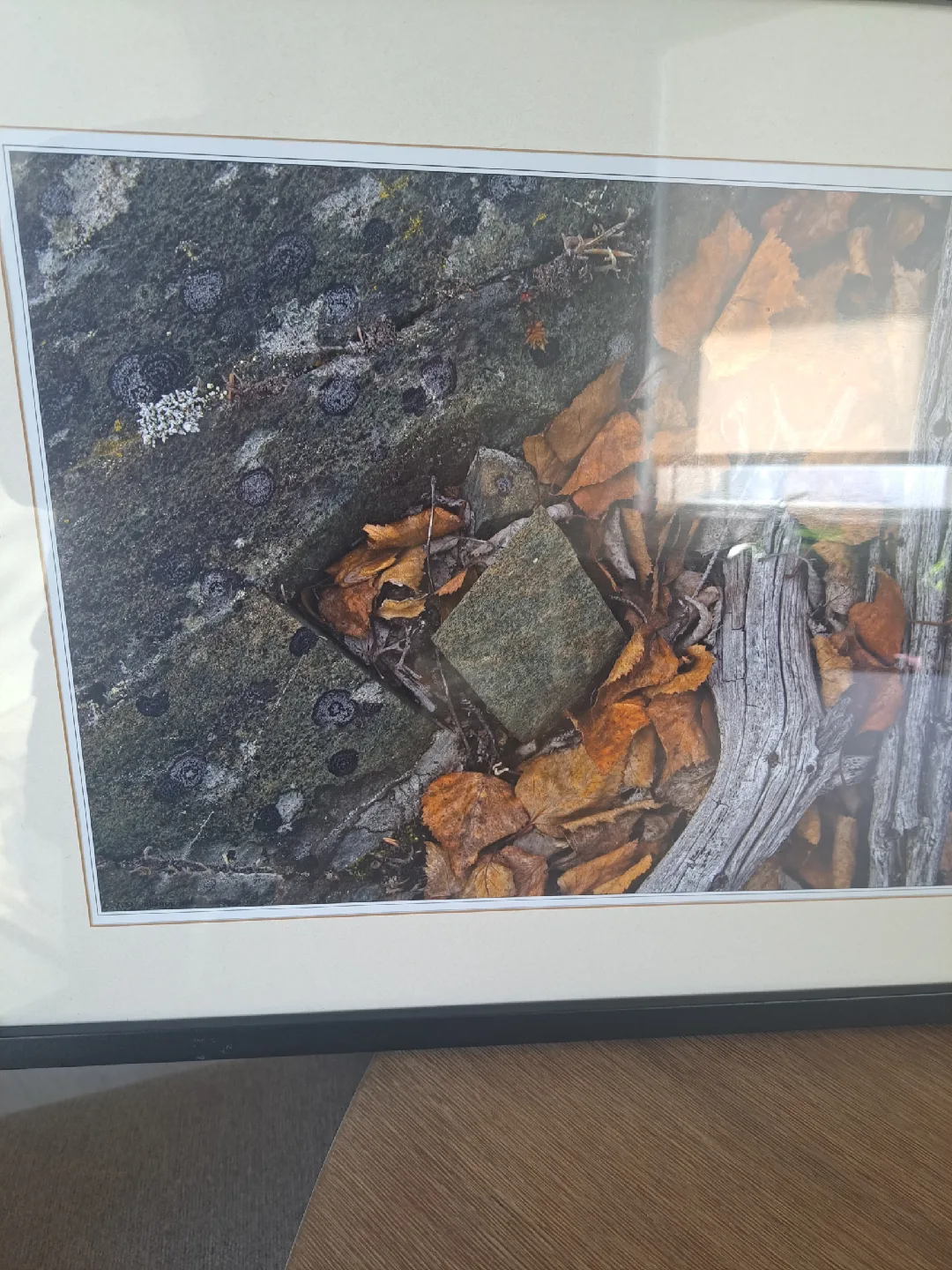 Fall photo in frame image indicator(2)