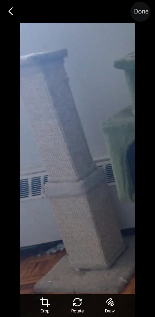 Cat Scratching Post thumbnail