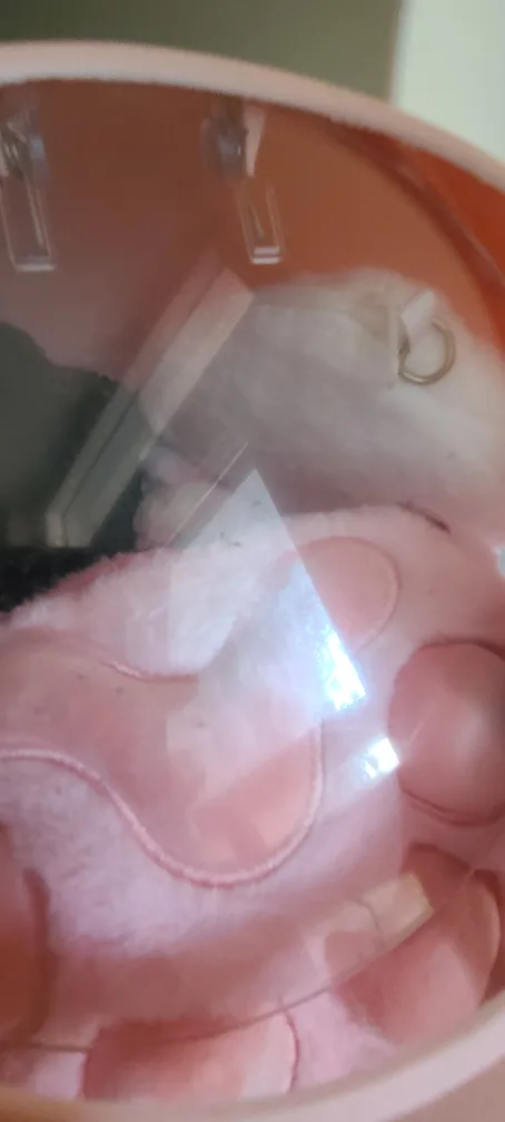 Paw Plush Shoulder Bag image indicator(6)