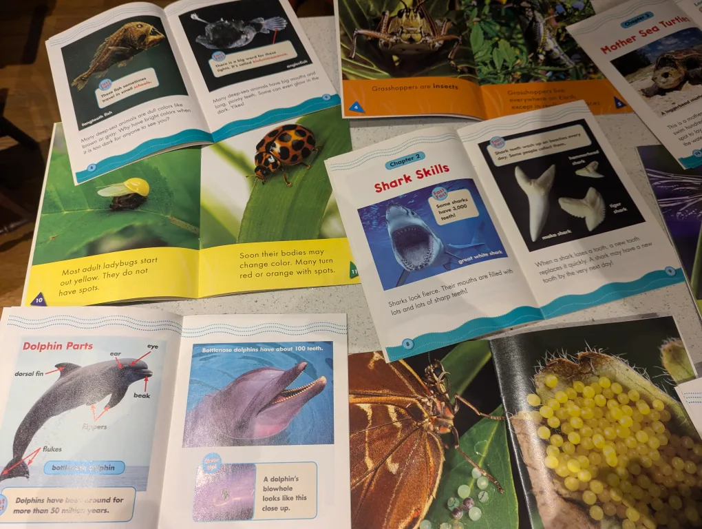 11 SOFT COVER SCIENCE BOOKS image indicator(5)