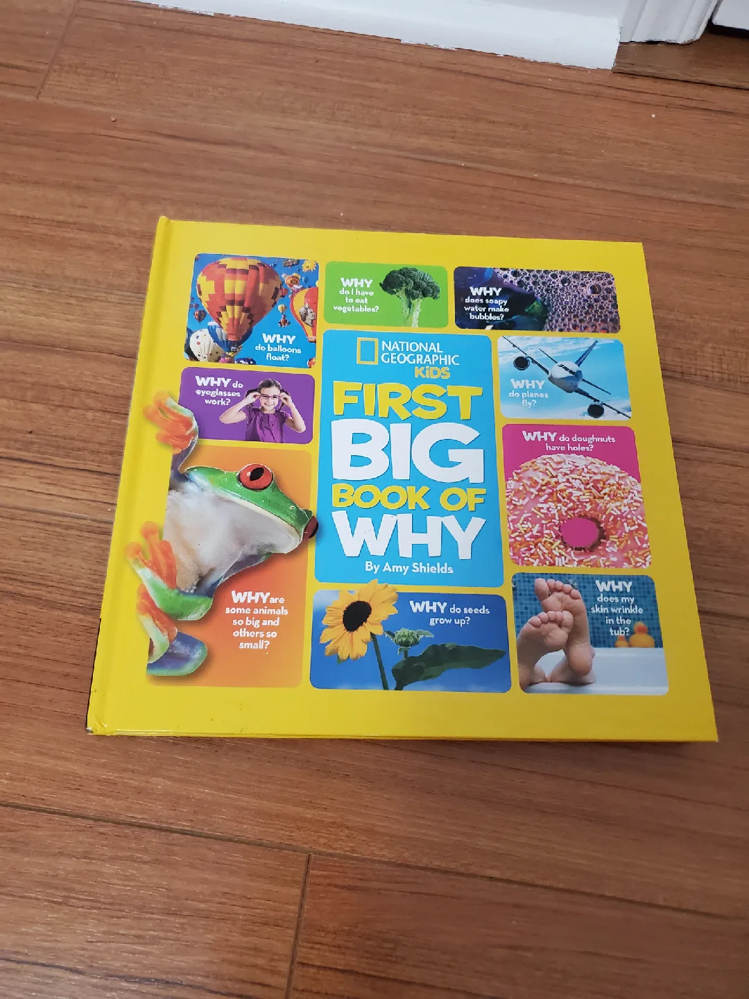 NG Kids First Big Book of Why. hard cover🥕 thumbnail