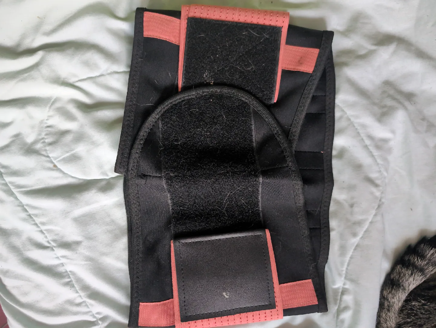 Waist Trainer Belt size m/m image indicator(2)