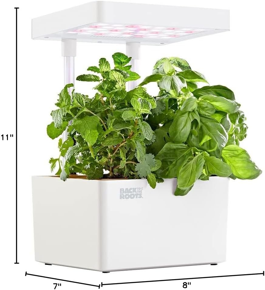 Back to the Roots v1.0 Hydroponic Grow Kit, 2022 Model - photo 2