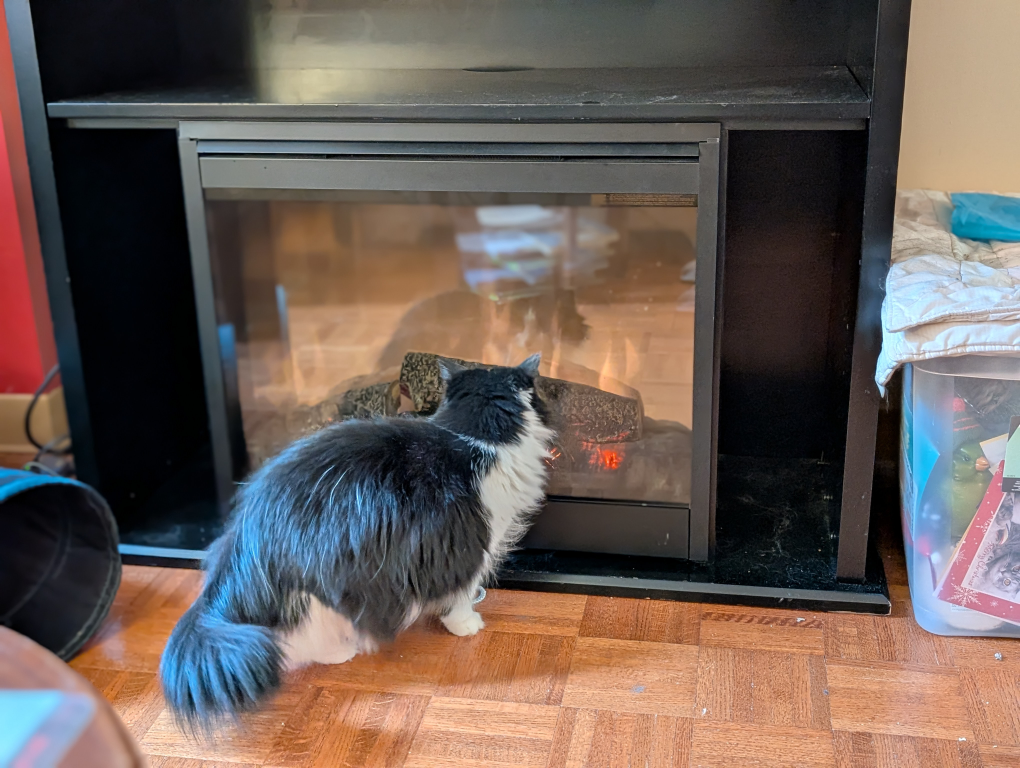 Electric Fireplace with Mantel - Black - photo 4