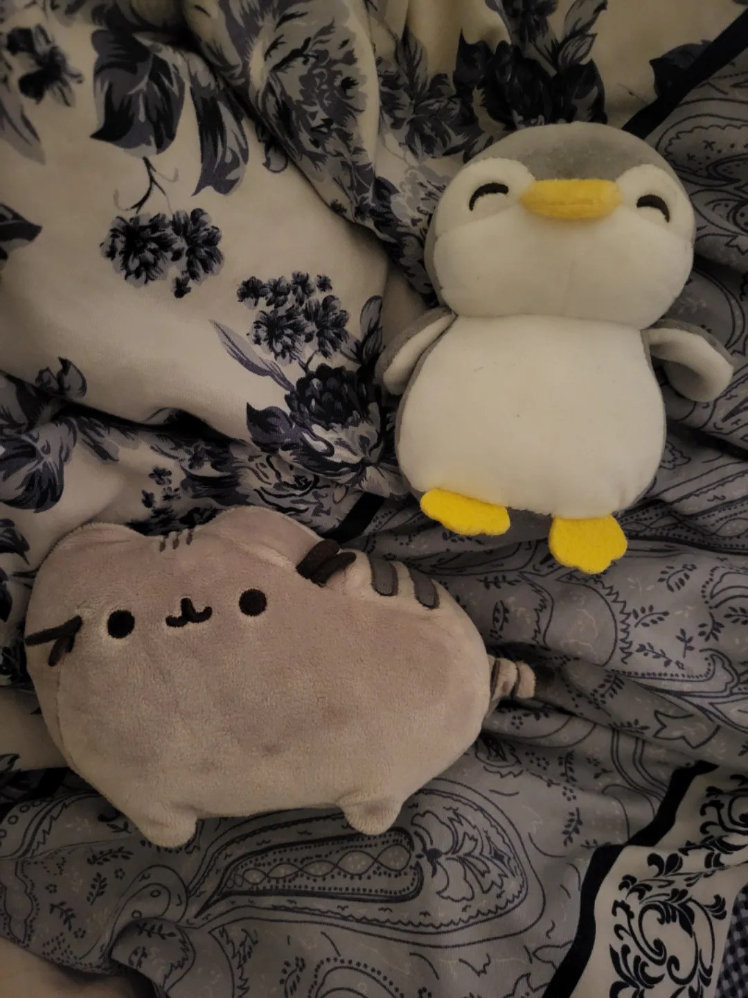 Plushies! Pusheen And A Penguin! thumbnail