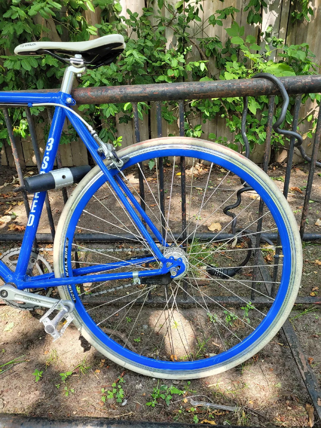 Blue Amsterdam 3 Speed Lager Bike-special edition image indicator(2)