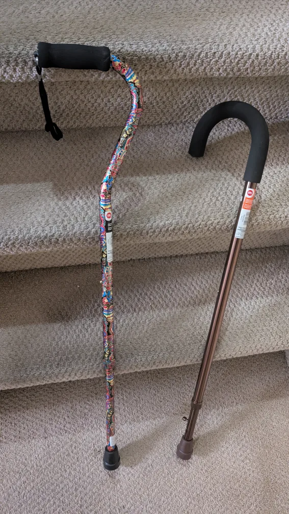 👀- WOW Adjustable Walking Canes - FCFS image indicator(5)