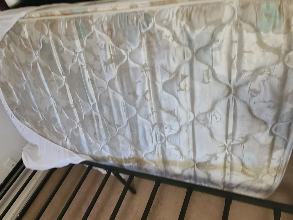 Twin Mattress & Bed Frame image indicator(4)