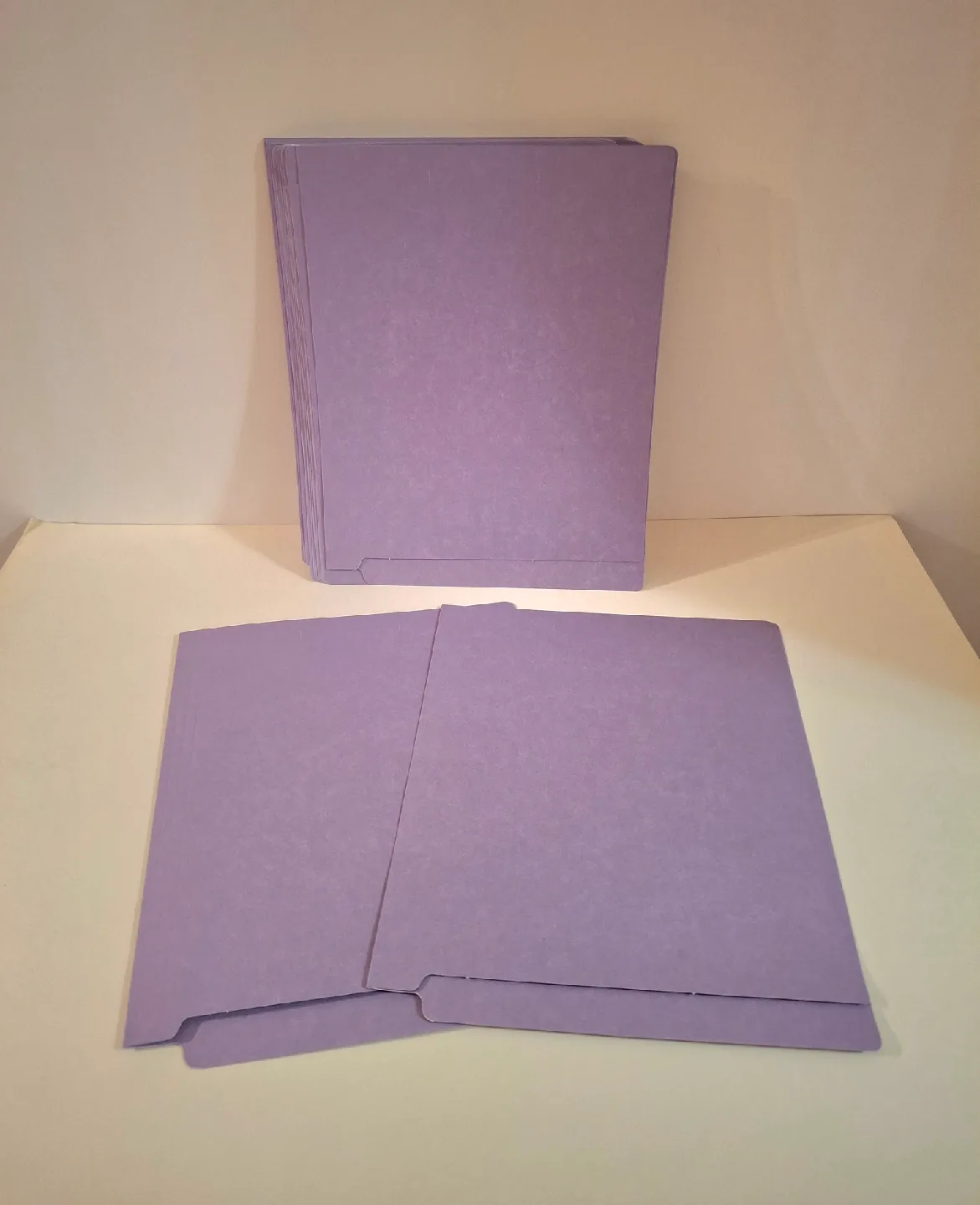 Pendaflex File Folders (Pack of 30) thumbnail