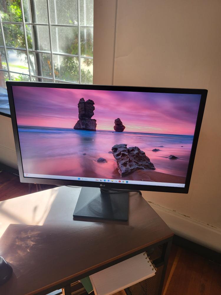 LG Monitor
