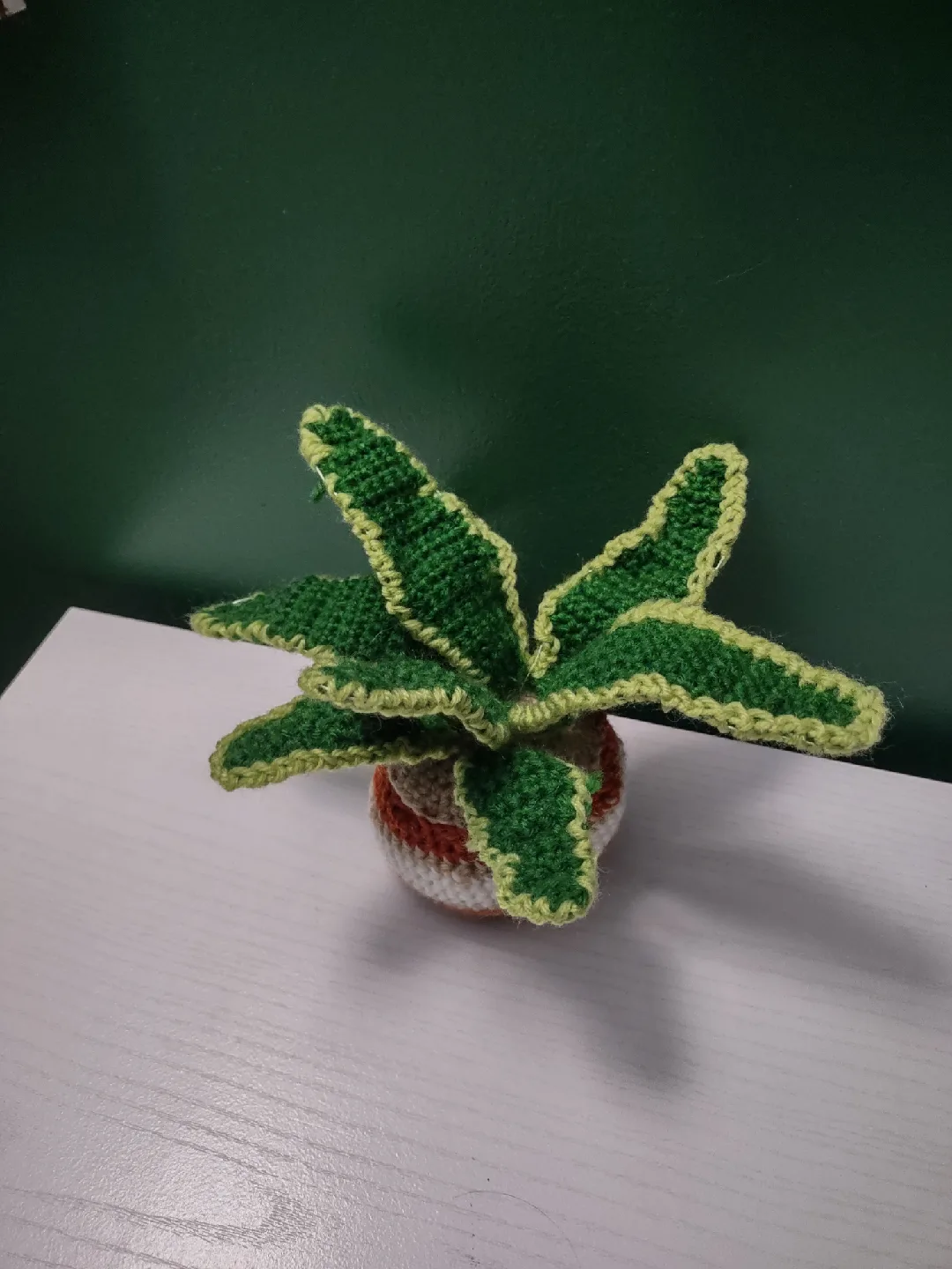 Crocheted Snake Plant image indicator(2)
