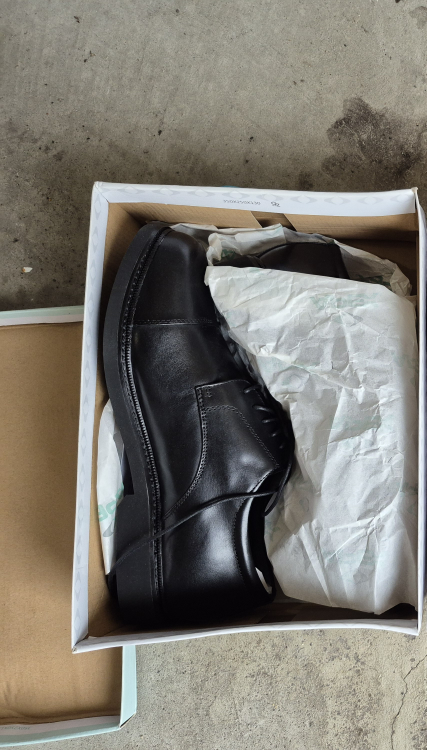 Apex Black Dress Shoes with Box