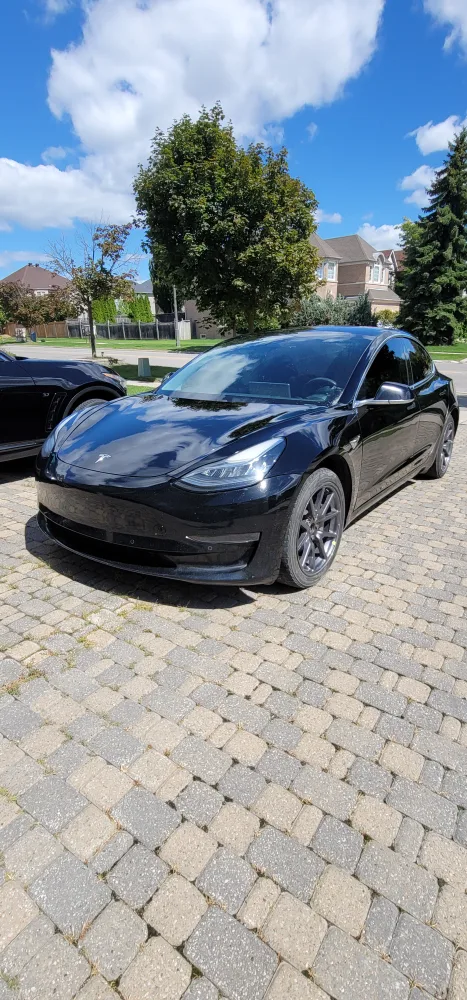Black Tesla Model 3 image indicator(2)