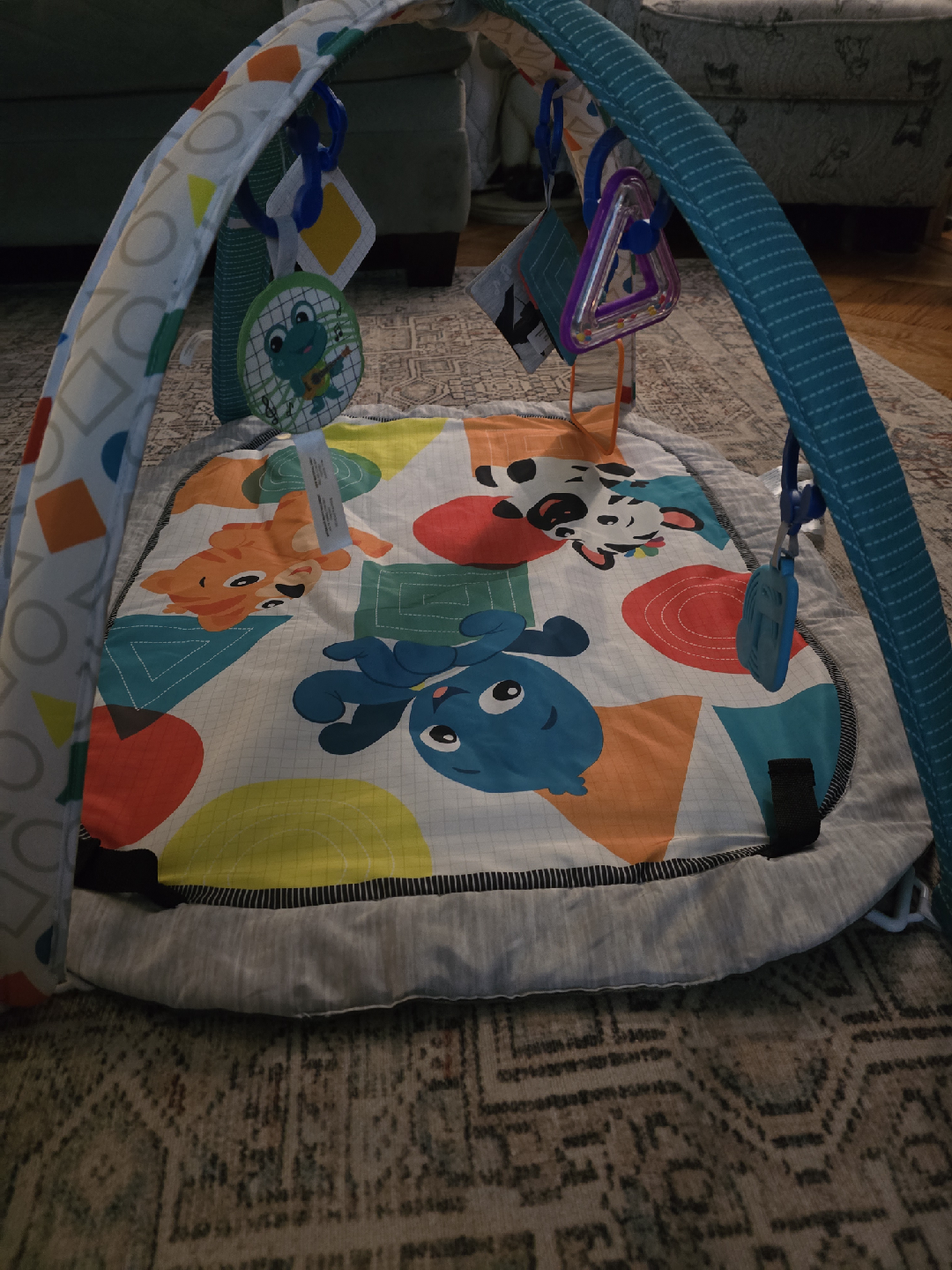 Baby Activity Gym Play Mat