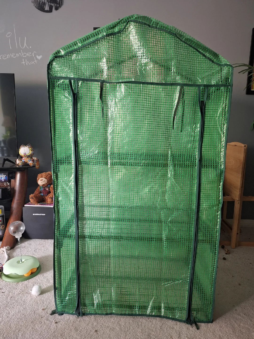 NEW Mini 3-Tier Greenhouse 🪴 🌱 🌿 image indicator(7)