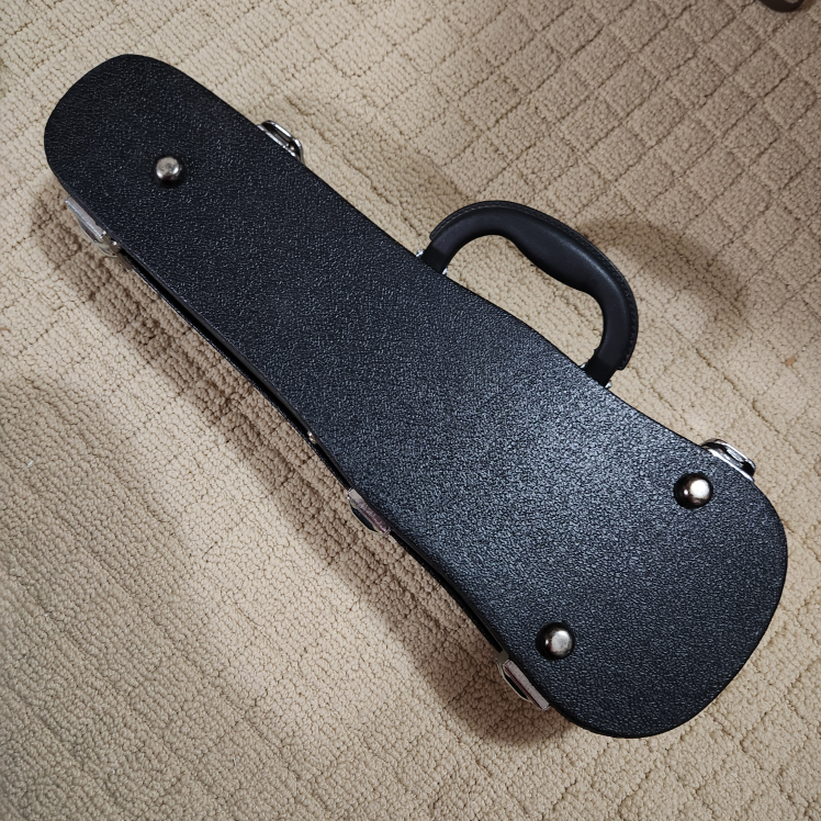 Black Violin Case 1/16 - photo 2