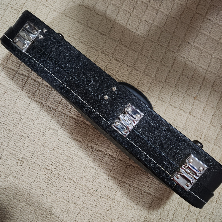 Black Violin Case 1/16 - photo 3