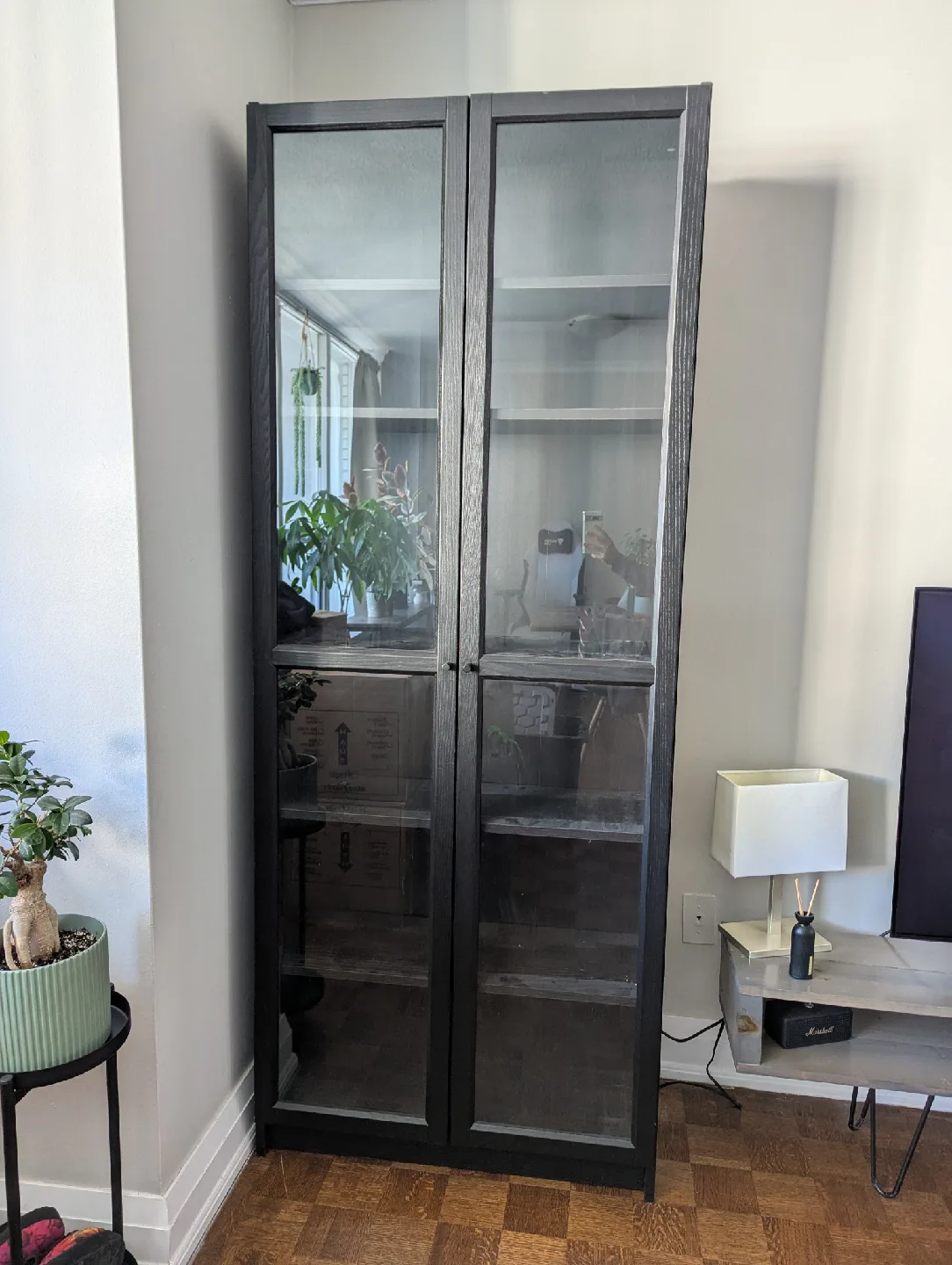IKEA Billy Bookcase with Glass Doors