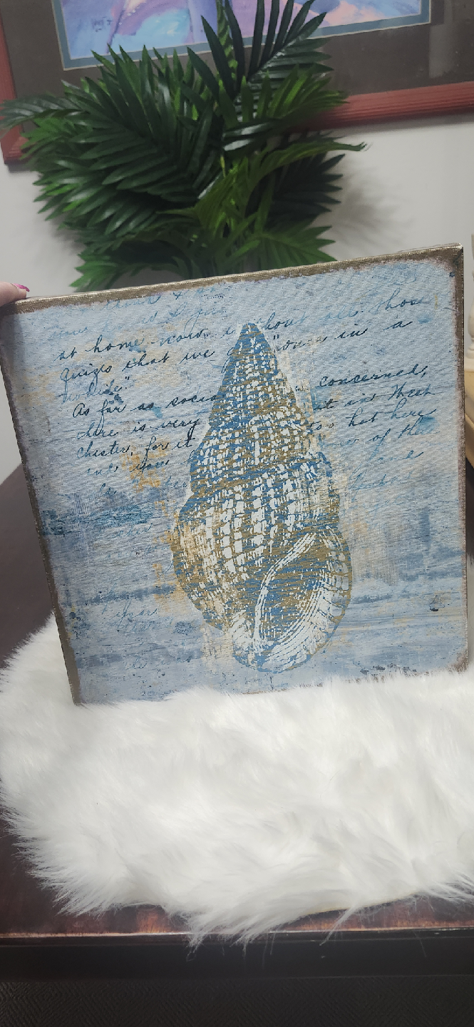 Seashell Canvas Wall Art