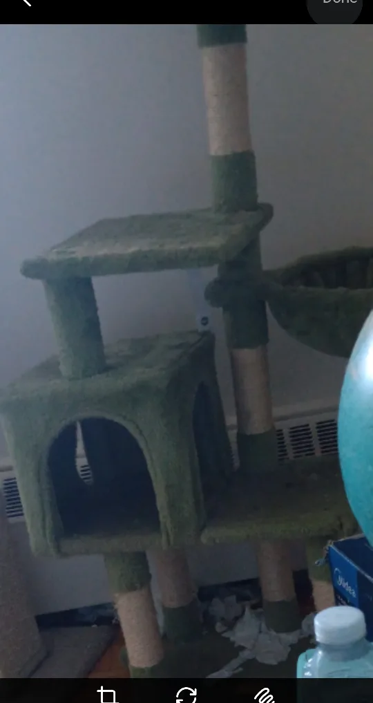 Cat Tree with Scratching Post thumbnail