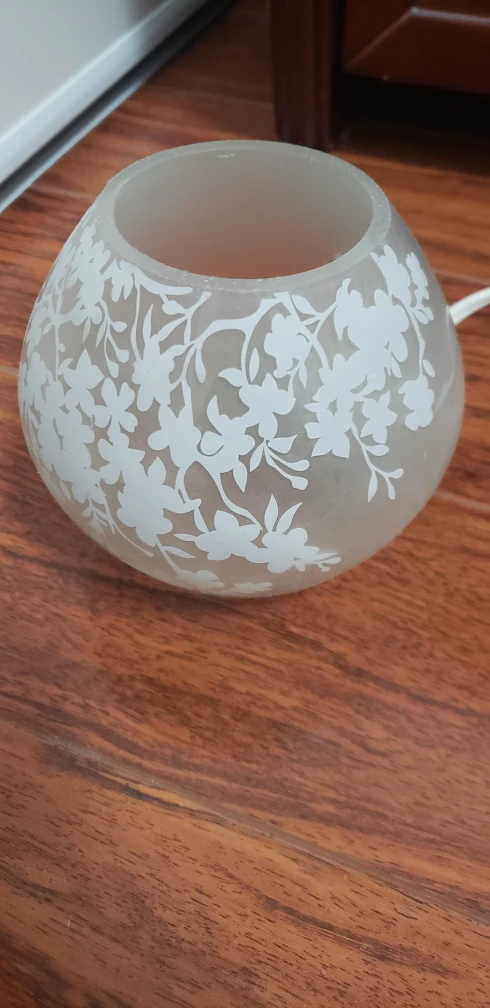 Floral Patterned Frosted Glass Globe Lamp
