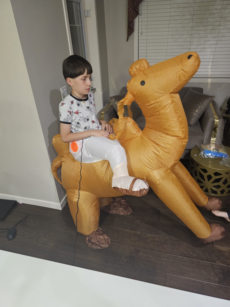 Inflatable Camel Costume (New never used available 3)each $25 - photo 4