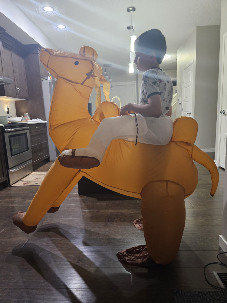 Inflatable Camel Costume (New never used available 3)each $25 - photo 5