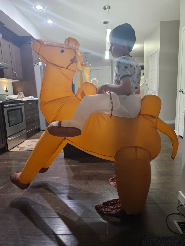 Inflatable Camel Costume (New never used available 3)each $25 image indicator(5)