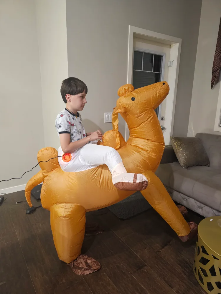Inflatable Camel Costume (New never used available 3)each $25 image indicator(7)
