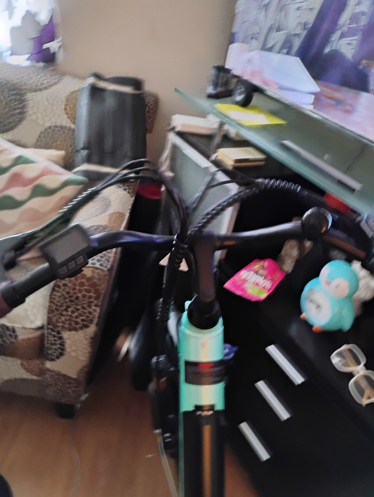 5th Wheel Electric Bicycle - photo 3