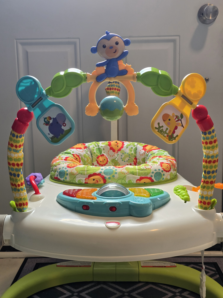 Fisher-Price Jumperoo - photo 3