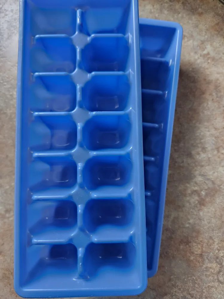 Two Blue Ice Cube Trays 🥕