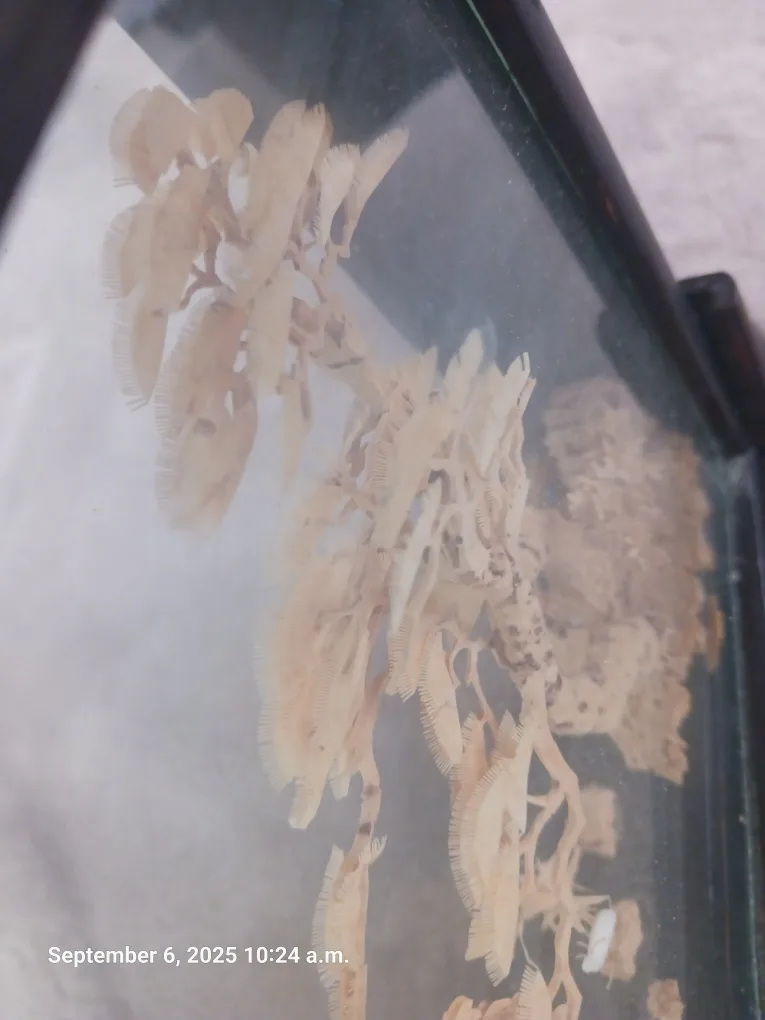 Vintage Chinese Cork Art Shadow Box image indicator(7)