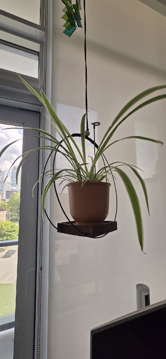 Hanging Plant Holder - Modern Style - photo 5