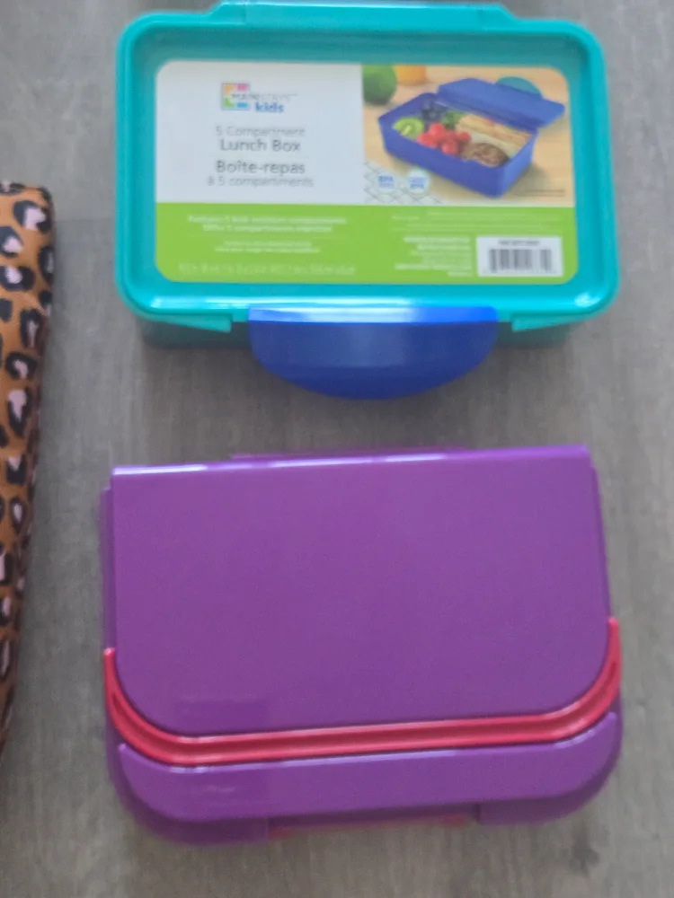 Mixed Lot: Lunch Boxes, Snapware Container & More! image indicator(5)